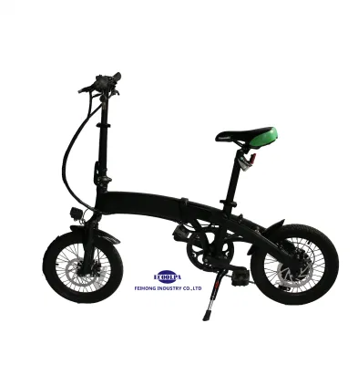 Véhicule de moto électrique de vélo de vélo électrique de montagne de 20 pouces tenant deux